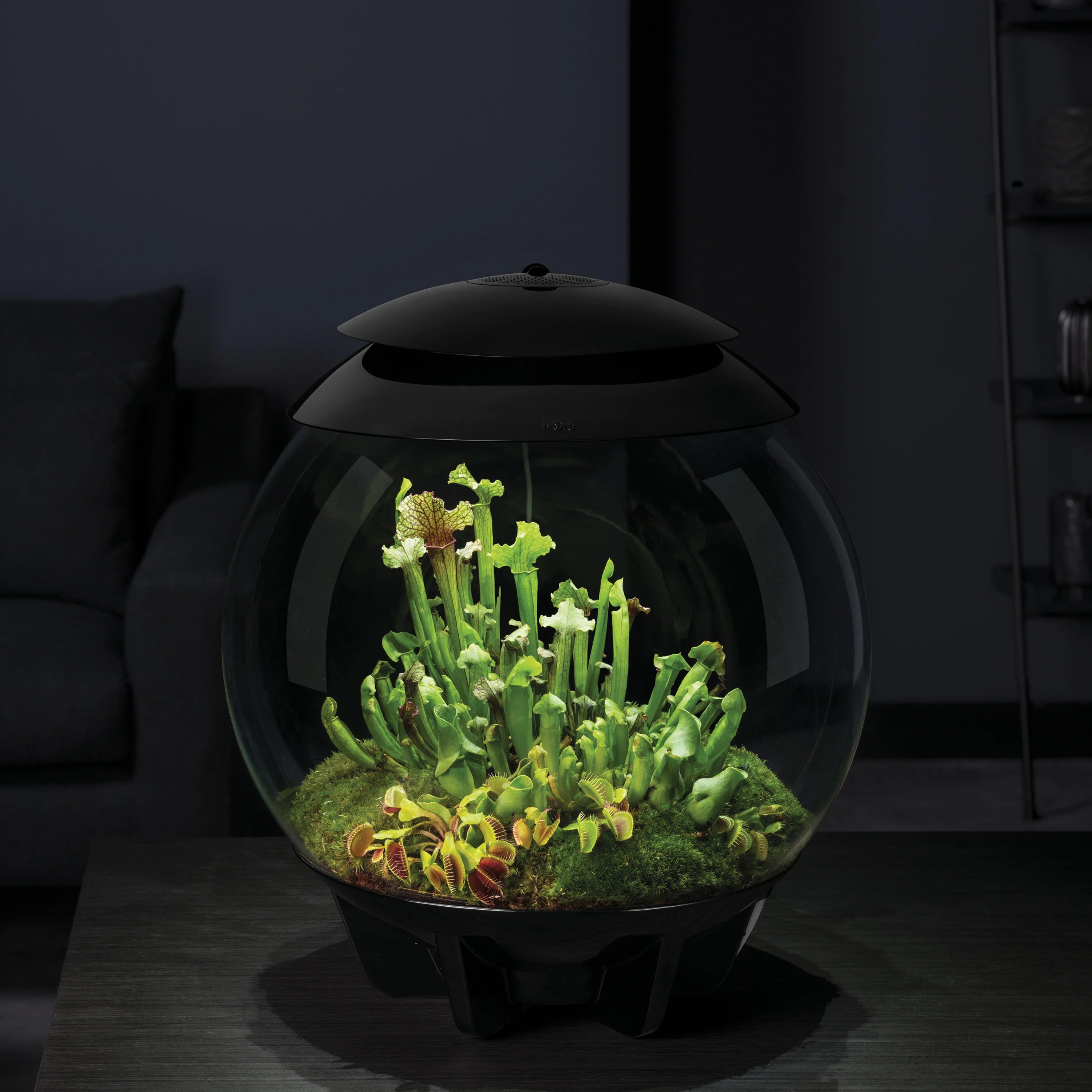 biorb-air-30-automatisiertes-terrarium-30-liter image 3