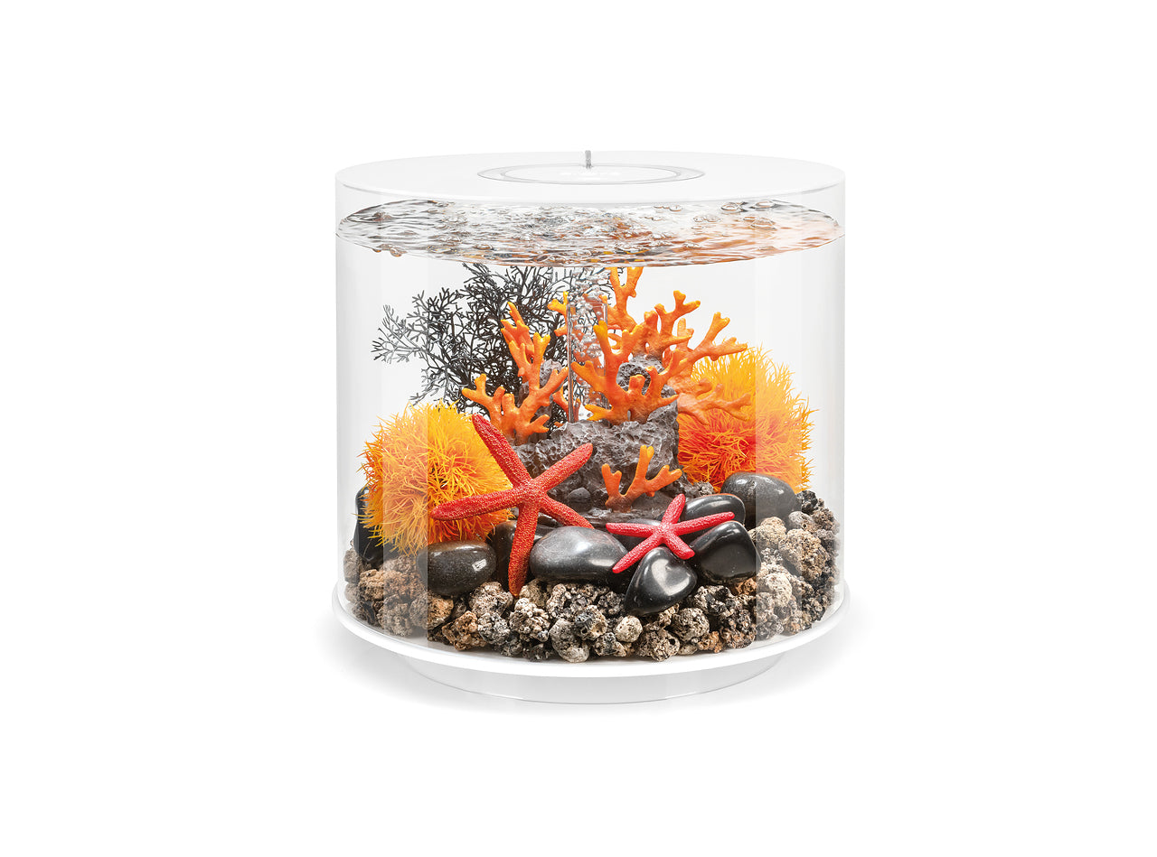 biorb-decor-set-orange-flames-aquarium-deko-set image 2